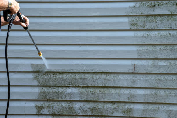 Best Stucco Siding  in Kaysville, UT